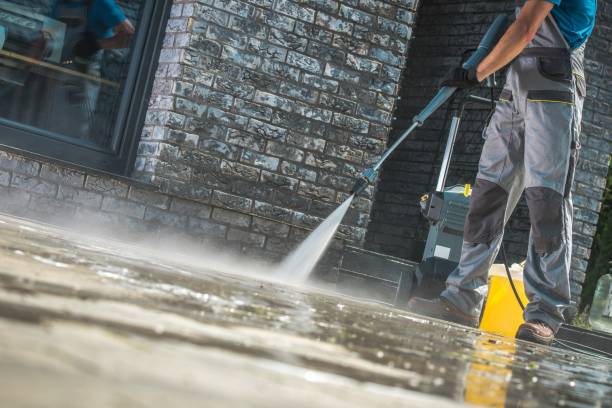 Animal Enclosure Cleaning in Olney, TX